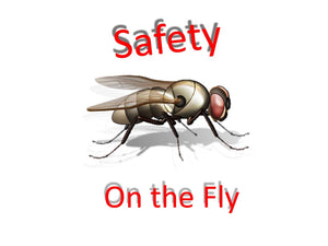 Free "Safety on the Fly" Hilarious Slides