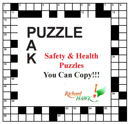 Safety and Health Puzzles